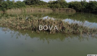 Zemlji&scaron;te povr&scaron;ine 53.651 m2 &ndash; Nin &ndash; Vrsi Grbe *Povoljno* (ID-2180)