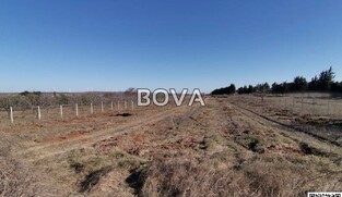 Poljoprivredno zemlji&scaron;te 6427 m2 &ndash; Smilčić *Uz javnu prometnicu* (ID-2524/E)