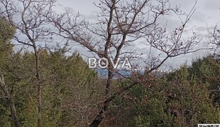 Poljoprivredno zemlji&scaron;te 10568 m2 &ndash; Poljica *Uz prometnicu* (ID-2537/E)