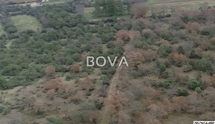 Poljoprivredno zemlji&scaron;te 1823 m2 &ndash; Bri&scaron;evo *Oranica* (ID-2546/E)