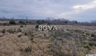 Poljoprivredno zemlji&scaron;te 3300 m2 &ndash; Grbe *Pravilan oblik* (ID-2600/E)